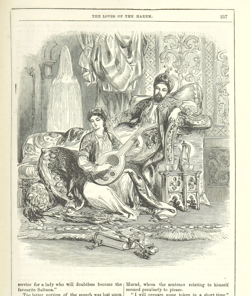 An illustration from The Loves of the Harem: a tale of Constantinople, 1855, leaf 271