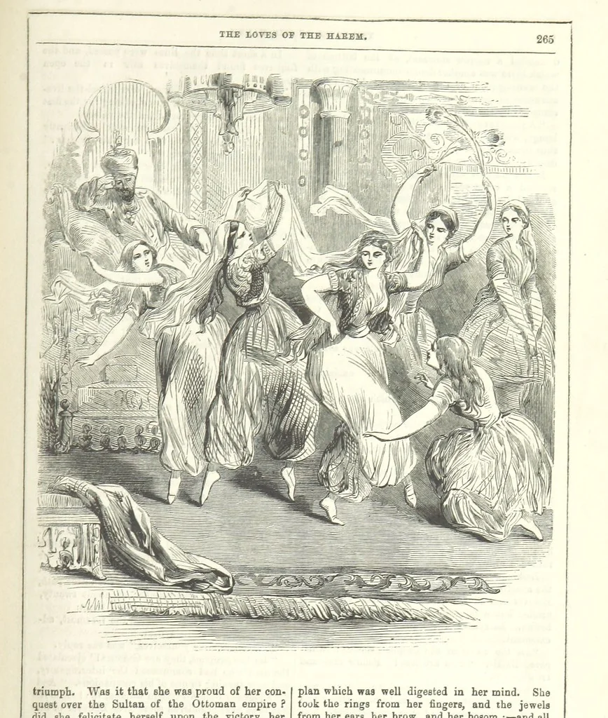 An illustration from The Loves of the Harem: a tale of Constantinople, 1855, leaf 279