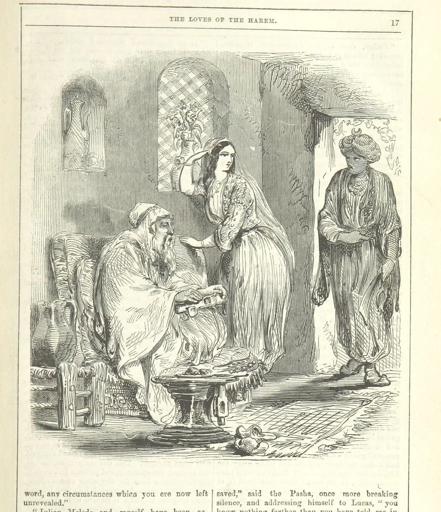 An illustration from The Loves of the Harem: a tale of Constantinople, 1855, leaf 31