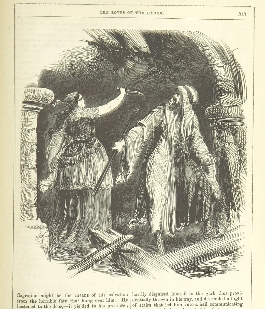 An illustration from The Loves of the Harem: a tale of Constantinople, 1855, leaf 327