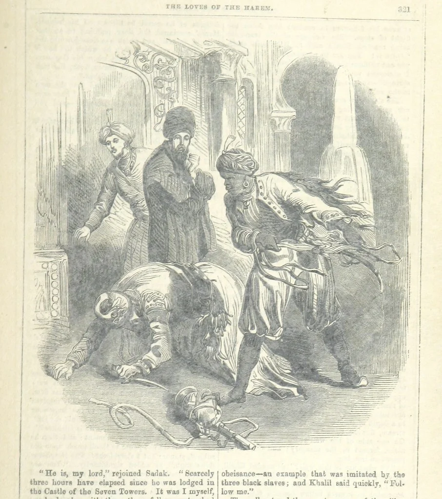 An illustration from The Loves of the Harem: a tale of Constantinople, 1855, leaf 335