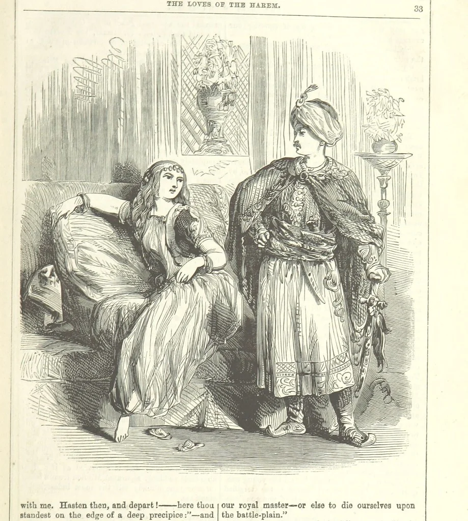 An illustration from The Loves of the Harem: a tale of Constantinople, 1855, leaf 47