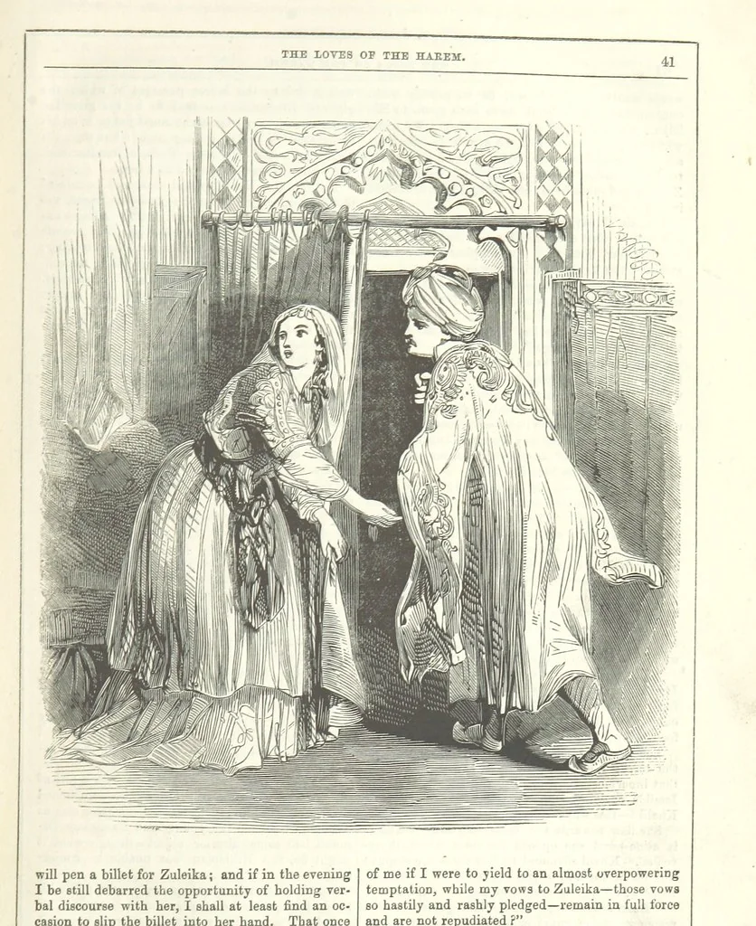 An illustration from The Loves of the Harem: a tale of Constantinople, 1855, leaf 55