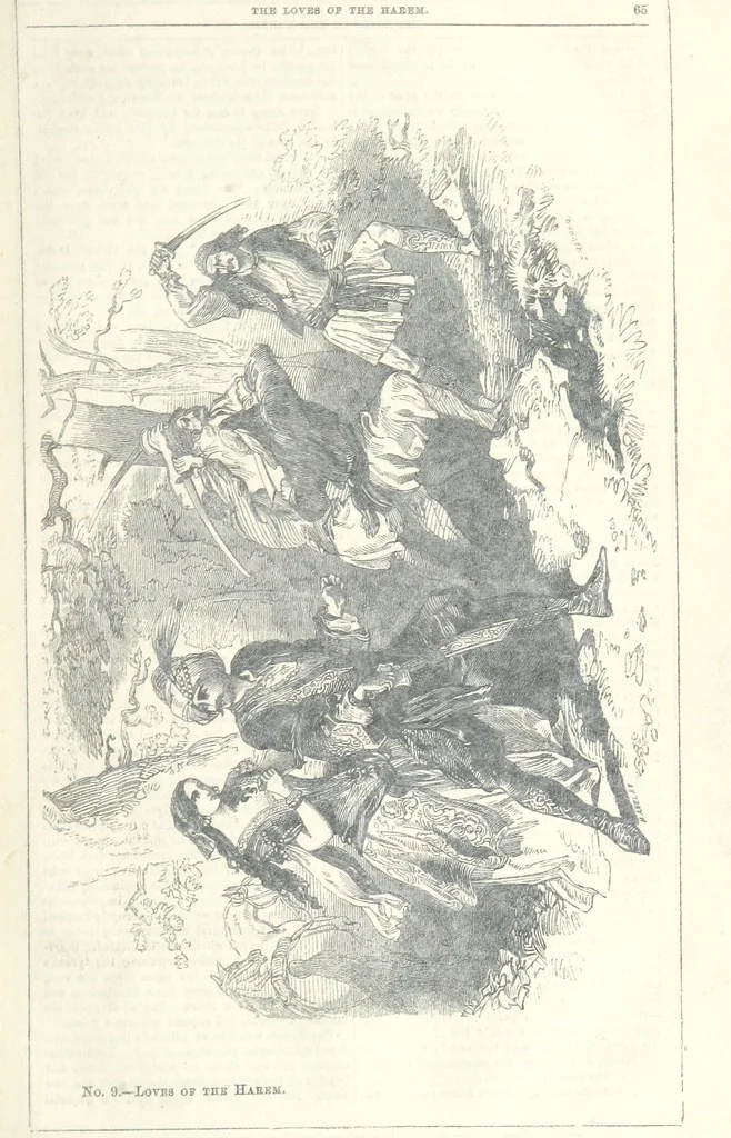 An illustration from The Loves of the Harem: a tale of Constantinople, 1855, leaf 79