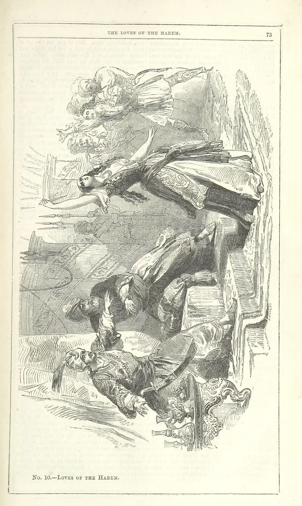 An illustration from The Loves of the Harem: a tale of Constantinople, 1855, leaf 87