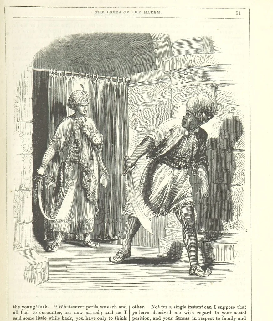 An illustration from The Loves of the Harem: a tale of Constantinople, 1855, leaf 95