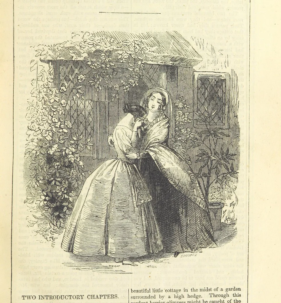 An illustration from The Mysteries of the Court of London ... With ... illustrations, 1849, leaf 17