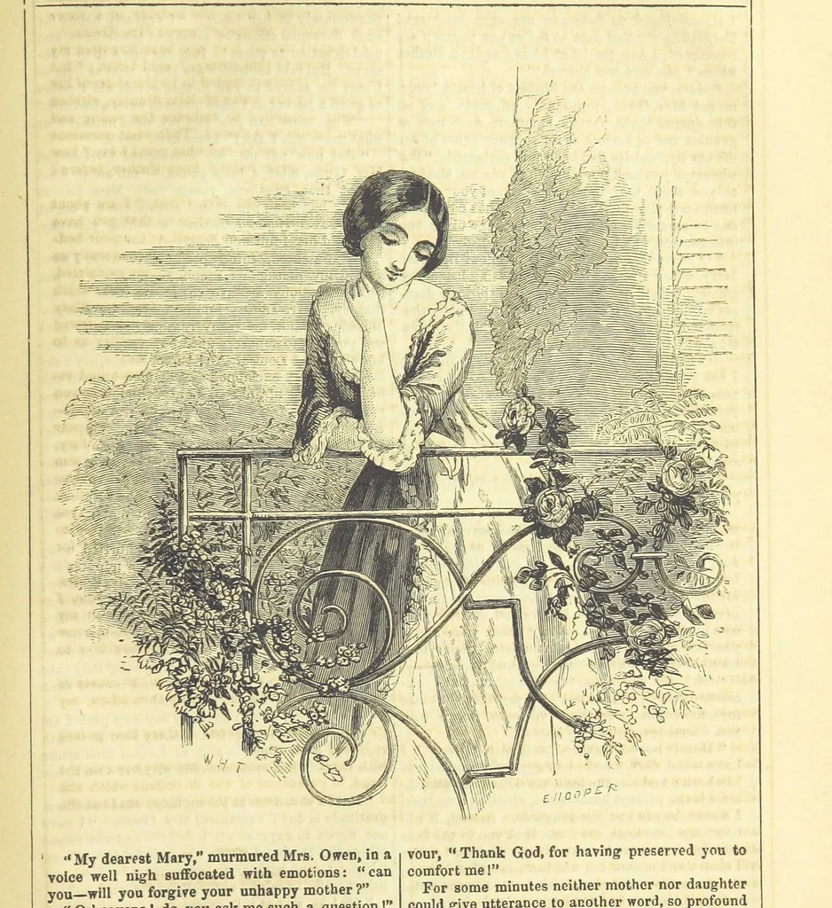 An illustration from The Mysteries of the Court of London ... With ... illustrations, 1849, leaf 313