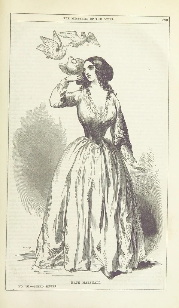 An illustration from The Mysteries of the Court of London ... With ... illustrations, 1849, leaf 409