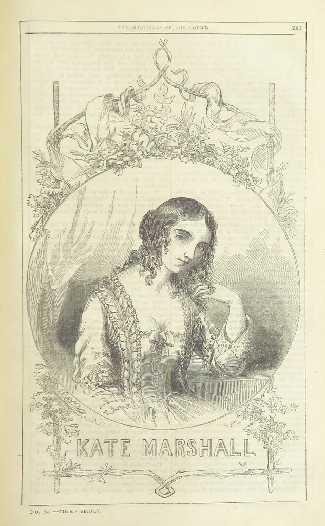 An illustration from The Mysteries of the Court of London ... With ... illustrations, 1849, leaf 273