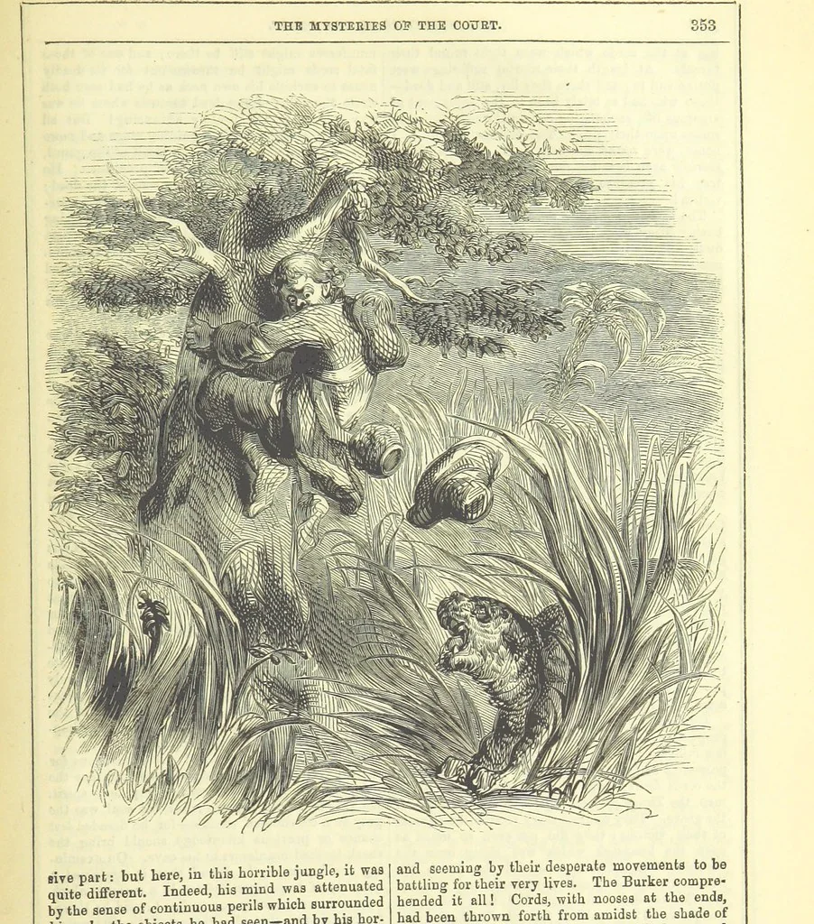 An illustration from The Mysteries of the Court of London ... With ... illustrations, 1849, leaf 369