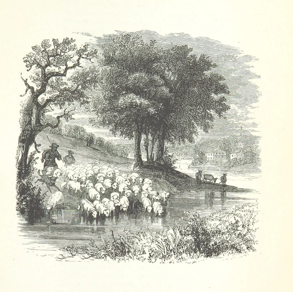 An illustration from The Rhyme and Reason of Country Life: or, selections from fields old and new. By the author of “Rural Hours,” etc, 1856, leaf 143