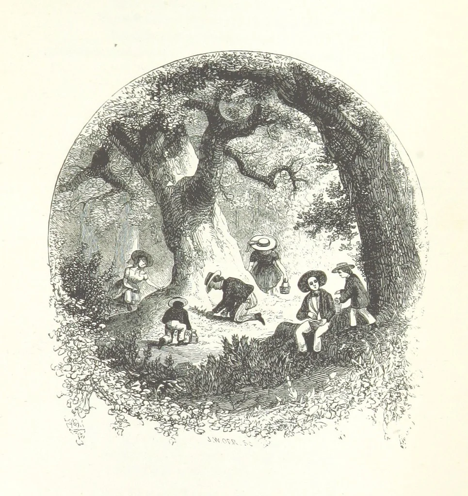 An illustration from The Rhyme and Reason of Country Life: or, selections from fields old and new. By the author of “Rural Hours,” etc, 1856, leaf 211
