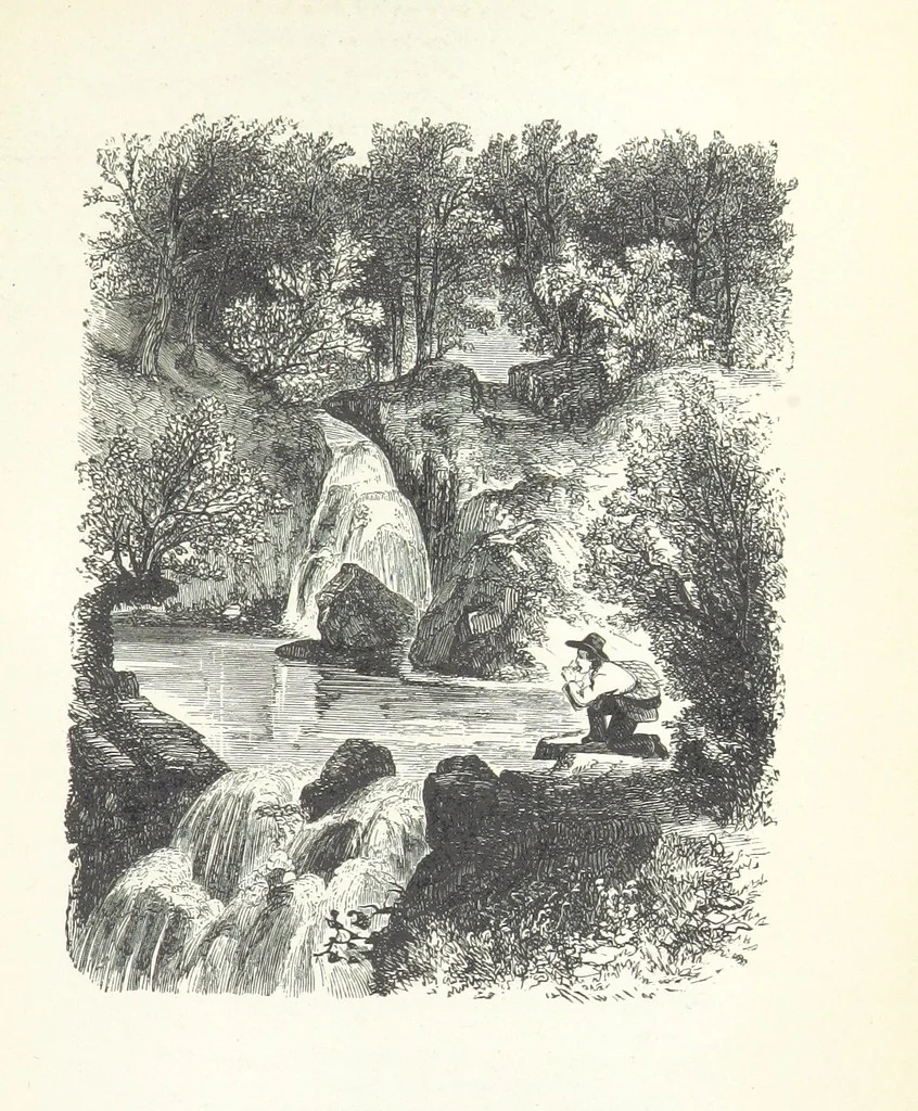An illustration from The Rhyme and Reason of Country Life: or, selections from fields old and new. By the author of “Rural Hours,” etc, 1856, leaf 273