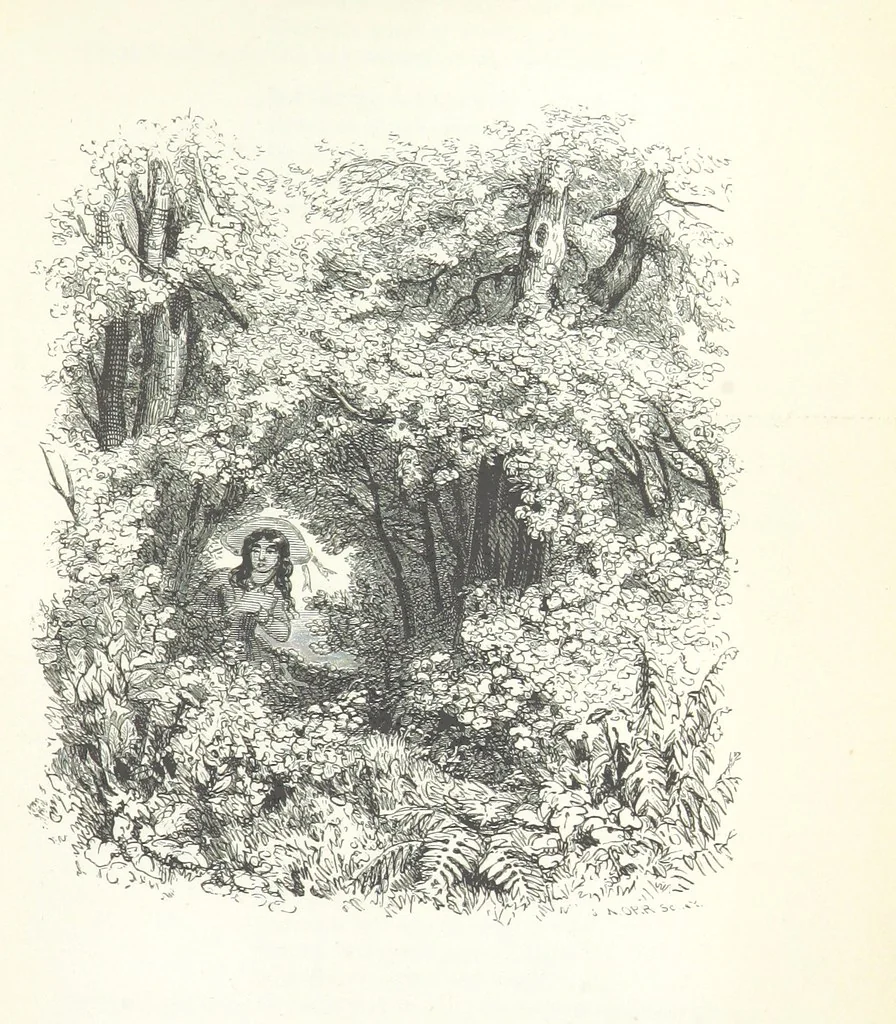 An illustration from The Rhyme and Reason of Country Life: or, selections from fields old and new. By the author of “Rural Hours,” etc, 1856, leaf 305