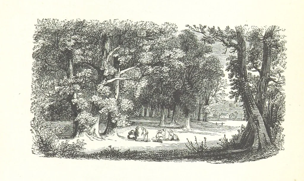 An illustration from The Rhyme and Reason of Country Life: or, selections from fields old and new. By the author of “Rural Hours,” etc, 1856, leaf 355