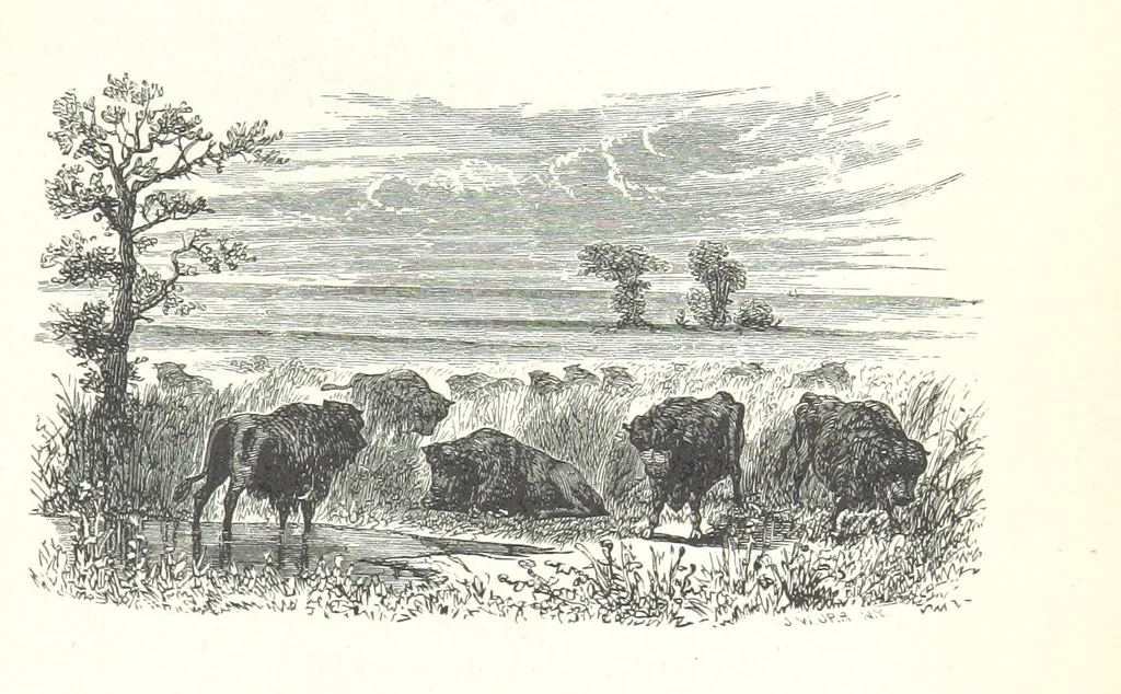 An illustration from The Rhyme and Reason of Country Life: or, selections from fields old and new. By the author of “Rural Hours,” etc, 1856, leaf 383
