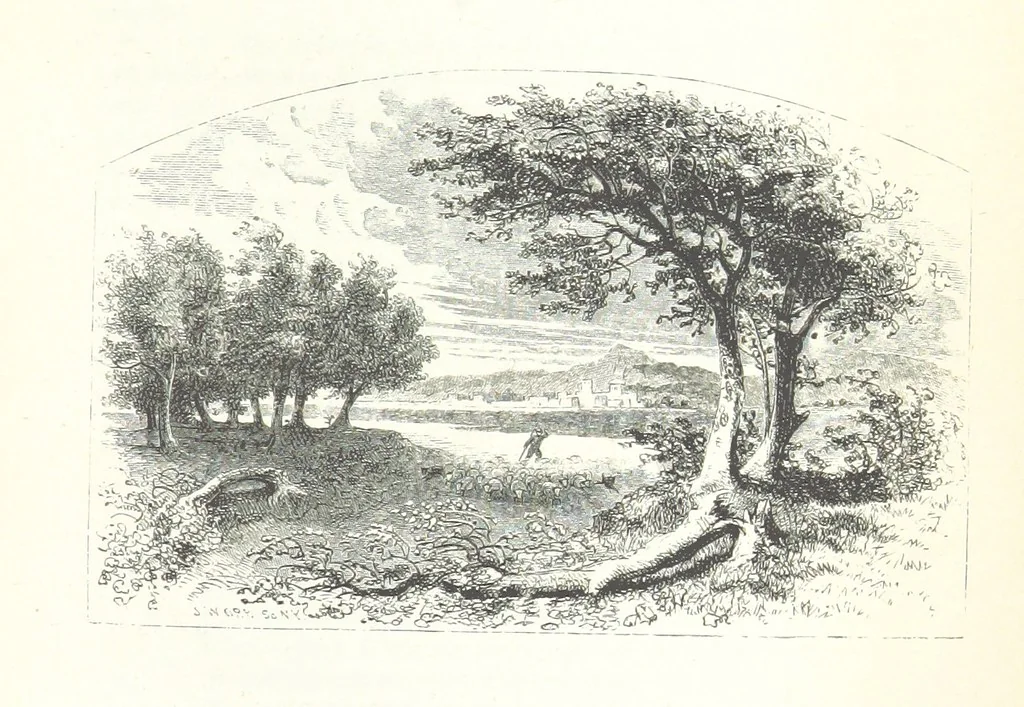 An illustration from The Rhyme and Reason of Country Life: or, selections from fields old and new. By the author of “Rural Hours,” etc, 1856, leaf 403