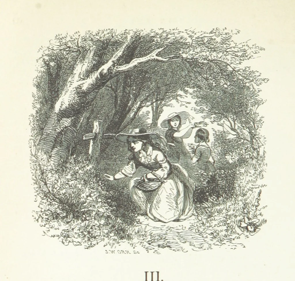 An illustration from The Rhyme and Reason of Country Life: or, selections from fields old and new. By the author of “Rural Hours,” etc, 1856, leaf 76