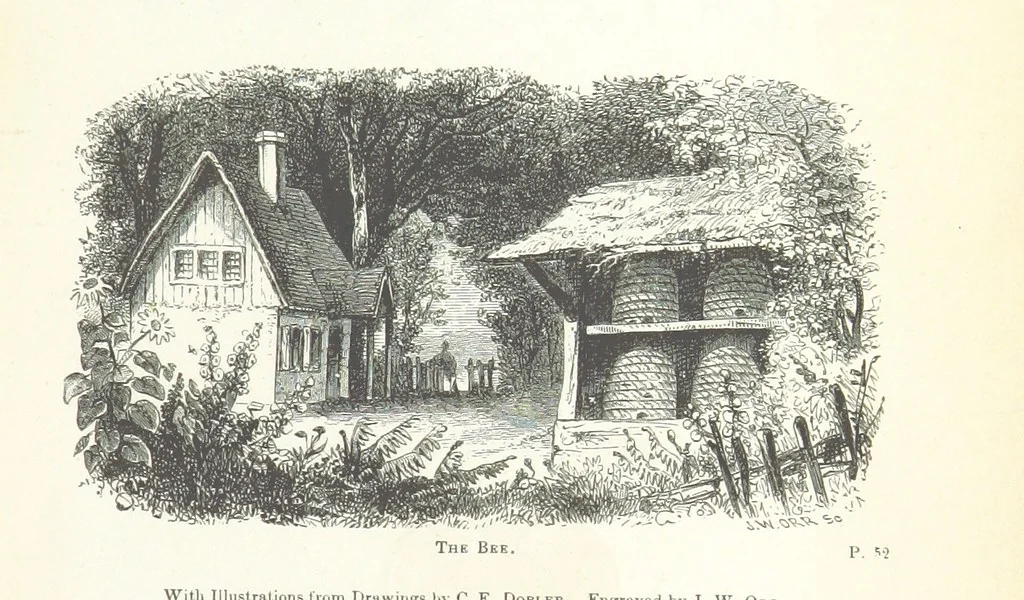 An illustration from The Rhyme and Reason of Country Life: or, selections from fields old and new. By the author of “Rural Hours,” etc, 1856, leaf 9