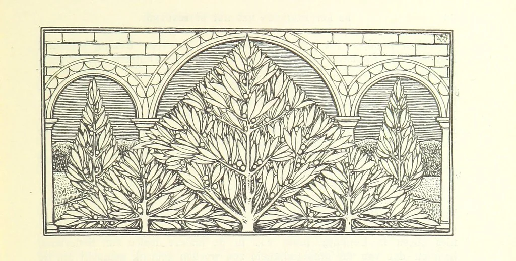 An illustration from Eene halve Eeuw, 1848-1898. Nederland onder de regeering van Koning Willem den Derde en het Regentschap van Koningin Emma door Nederlanders beschreven onder redactie van Dr P. H. Ritter. 3e ... uitgave, etc, 1898, leaf 117