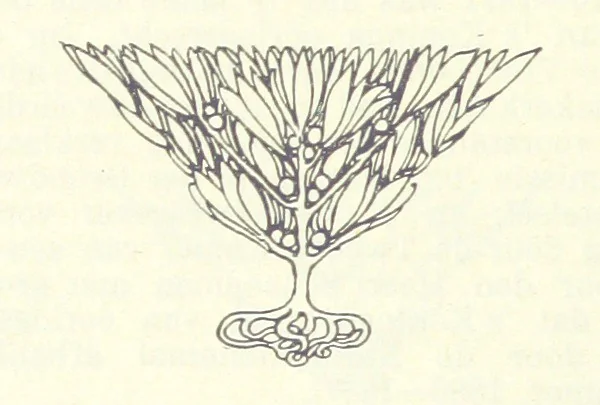 An illustration from Eene halve Eeuw, 1848-1898. Nederland onder de regeering van Koning Willem den Derde en het Regentschap van Koningin Emma door Nederlanders beschreven onder redactie van Dr P. H. Ritter. 3e ... uitgave, etc, 1898, leaf 136