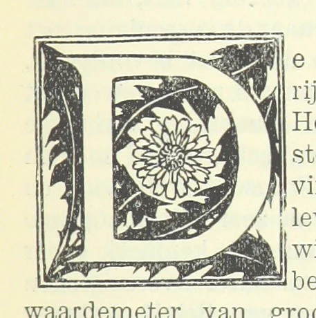 An illustration from Eene halve Eeuw, 1848-1898. Nederland onder de regeering van Koning Willem den Derde en het Regentschap van Koningin Emma door Nederlanders beschreven onder redactie van Dr P. H. Ritter. 3e ... uitgave, etc, 1898, leaf 201