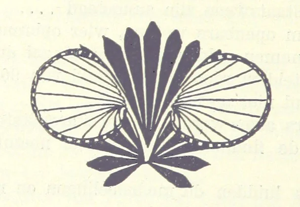 An illustration from Eene halve Eeuw, 1848-1898. Nederland onder de regeering van Koning Willem den Derde en het Regentschap van Koningin Emma door Nederlanders beschreven onder redactie van Dr P. H. Ritter. 3e ... uitgave, etc, 1898, leaf 236