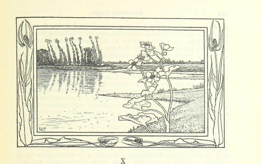 An illustration from Eene halve Eeuw, 1848-1898. Nederland onder de regeering van Koning Willem den Derde en het Regentschap van Koningin Emma door Nederlanders beschreven onder redactie van Dr P. H. Ritter. 3e ... uitgave, etc, 1898, leaf 237