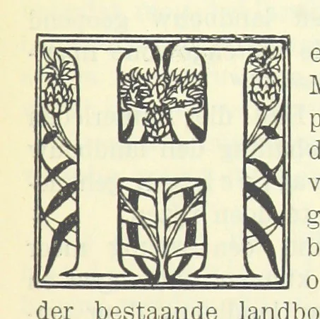 An illustration from Eene halve Eeuw, 1848-1898. Nederland onder de regeering van Koning Willem den Derde en het Regentschap van Koningin Emma door Nederlanders beschreven onder redactie van Dr P. H. Ritter. 3e ... uitgave, etc, 1898, leaf 269