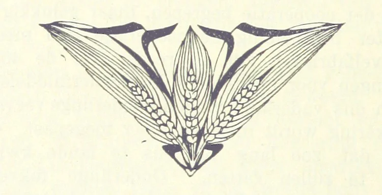 An illustration from Eene halve Eeuw, 1848-1898. Nederland onder de regeering van Koning Willem den Derde en het Regentschap van Koningin Emma door Nederlanders beschreven onder redactie van Dr P. H. Ritter. 3e ... uitgave, etc, 1898, leaf 286
