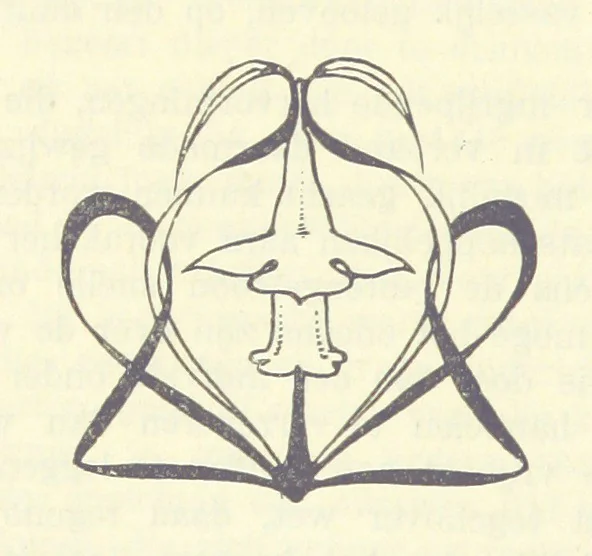 An illustration from Eene halve Eeuw, 1848-1898. Nederland onder de regeering van Koning Willem den Derde en het Regentschap van Koningin Emma door Nederlanders beschreven onder redactie van Dr P. H. Ritter. 3e ... uitgave, etc, 1898, leaf 36
