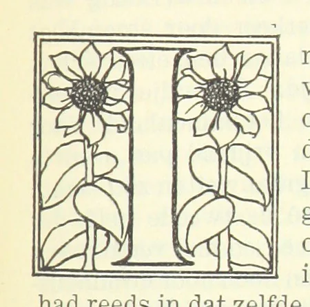 An illustration from Eene halve Eeuw, 1848-1898. Nederland onder de regeering van Koning Willem den Derde en het Regentschap van Koningin Emma door Nederlanders beschreven onder redactie van Dr P. H. Ritter. 3e ... uitgave, etc, 1898, leaf 369