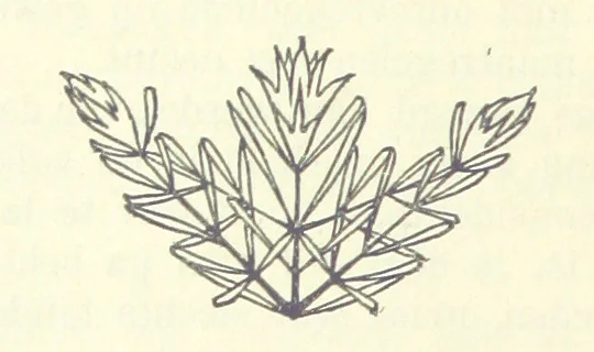 An illustration from Eene halve Eeuw, 1848-1898. Nederland onder de regeering van Koning Willem den Derde en het Regentschap van Koningin Emma door Nederlanders beschreven onder redactie van Dr P. H. Ritter. 3e ... uitgave, etc, 1898, leaf 398
