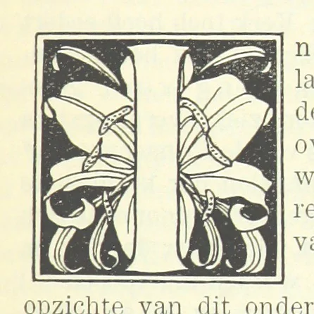 An illustration from Eene halve Eeuw, 1848-1898. Nederland onder de regeering van Koning Willem den Derde en het Regentschap van Koningin Emma door Nederlanders beschreven onder redactie van Dr P. H. Ritter. 3e ... uitgave, etc, 1898, leaf 411