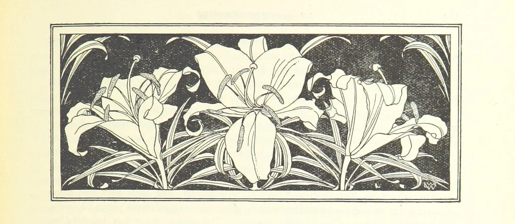 An illustration from Eene halve Eeuw, 1848-1898. Nederland onder de regeering van Koning Willem den Derde en het Regentschap van Koningin Emma door Nederlanders beschreven onder redactie van Dr P. H. Ritter. 3e ... uitgave, etc, 1898, leaf 411