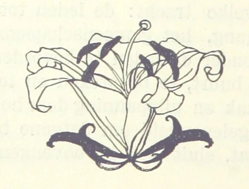 An illustration from Eene halve Eeuw, 1848-1898. Nederland onder de regeering van Koning Willem den Derde en het Regentschap van Koningin Emma door Nederlanders beschreven onder redactie van Dr P. H. Ritter. 3e ... uitgave, etc, 1898, leaf 422