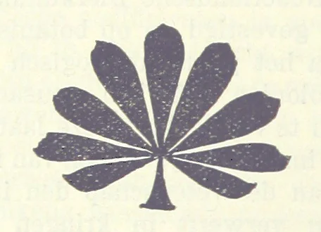 An illustration from Eene halve Eeuw, 1848-1898. Nederland onder de regeering van Koning Willem den Derde en het Regentschap van Koningin Emma door Nederlanders beschreven onder redactie van Dr P. H. Ritter. 3e ... uitgave, etc, 1898, leaf 554