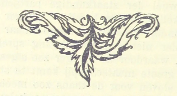 An illustration from Eene halve Eeuw, 1848-1898. Nederland onder de regeering van Koning Willem den Derde en het Regentschap van Koningin Emma door Nederlanders beschreven onder redactie van Dr P. H. Ritter. 3e ... uitgave, etc, 1898, leaf 578