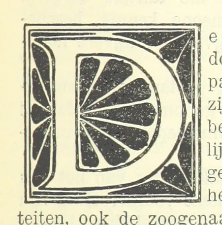 An illustration from Eene halve Eeuw, 1848-1898. Nederland onder de regeering van Koning Willem den Derde en het Regentschap van Koningin Emma door Nederlanders beschreven onder redactie van Dr P. H. Ritter. 3e ... uitgave, etc, 1898, leaf 579