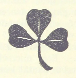 An illustration from Eene halve Eeuw, 1848-1898. Nederland onder de regeering van Koning Willem den Derde en het Regentschap van Koningin Emma door Nederlanders beschreven onder redactie van Dr P. H. Ritter. 3e ... uitgave, etc, 1898, leaf 590