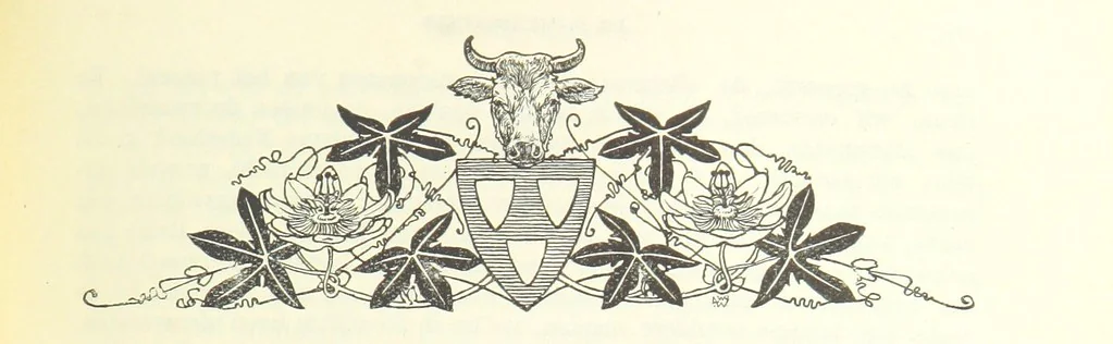 An illustration from Eene halve Eeuw, 1848-1898. Nederland onder de regeering van Koning Willem den Derde en het Regentschap van Koningin Emma door Nederlanders beschreven onder redactie van Dr P. H. Ritter. 3e ... uitgave, etc, 1898, leaf 635