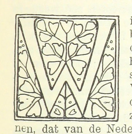 An illustration from Eene halve Eeuw, 1848-1898. Nederland onder de regeering van Koning Willem den Derde en het Regentschap van Koningin Emma door Nederlanders beschreven onder redactie van Dr P. H. Ritter. 3e ... uitgave, etc, 1898, leaf 715