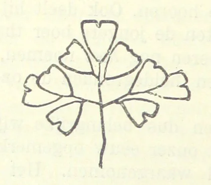 An illustration from Eene halve Eeuw, 1848-1898. Nederland onder de regeering van Koning Willem den Derde en het Regentschap van Koningin Emma door Nederlanders beschreven onder redactie van Dr P. H. Ritter. 3e ... uitgave, etc, 1898, leaf 814