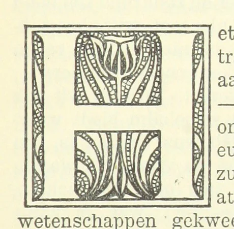 An illustration from Eene halve Eeuw, 1848-1898. Nederland onder de regeering van Koning Willem den Derde en het Regentschap van Koningin Emma door Nederlanders beschreven onder redactie van Dr P. H. Ritter. 3e ... uitgave, etc, 1898, leaf 901