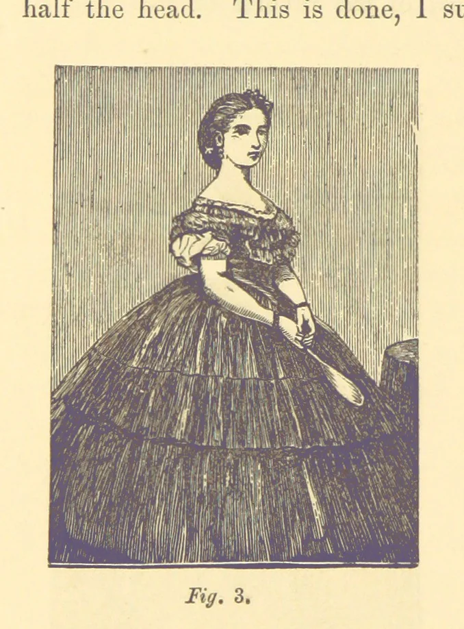An illustration from Pictorial Effect in Photography: being hints on composition and chiaroscuro for photographers. To which is added a chapter on combination painting, 1869, leaf 108