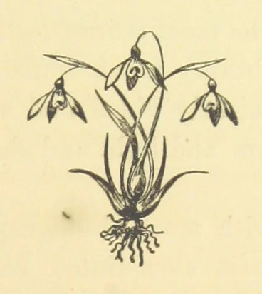 An illustration from Pictorial Effect in Photography: being hints on composition and chiaroscuro for photographers. To which is added a chapter on combination painting, 1869, leaf 109