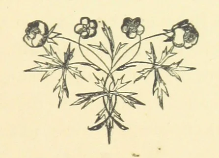 An illustration from Pictorial Effect in Photography: being hints on composition and chiaroscuro for photographers. To which is added a chapter on combination painting, 1869, leaf 171