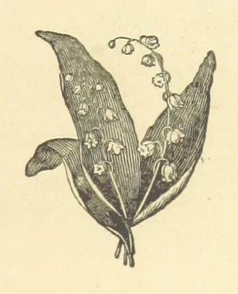 An illustration from Pictorial Effect in Photography: being hints on composition and chiaroscuro for photographers. To which is added a chapter on combination painting, 1869, leaf 31