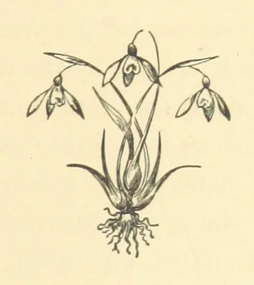 An illustration from Pictorial Effect in Photography: being hints on composition and chiaroscuro for photographers. To which is added a chapter on combination painting, 1869, leaf 35